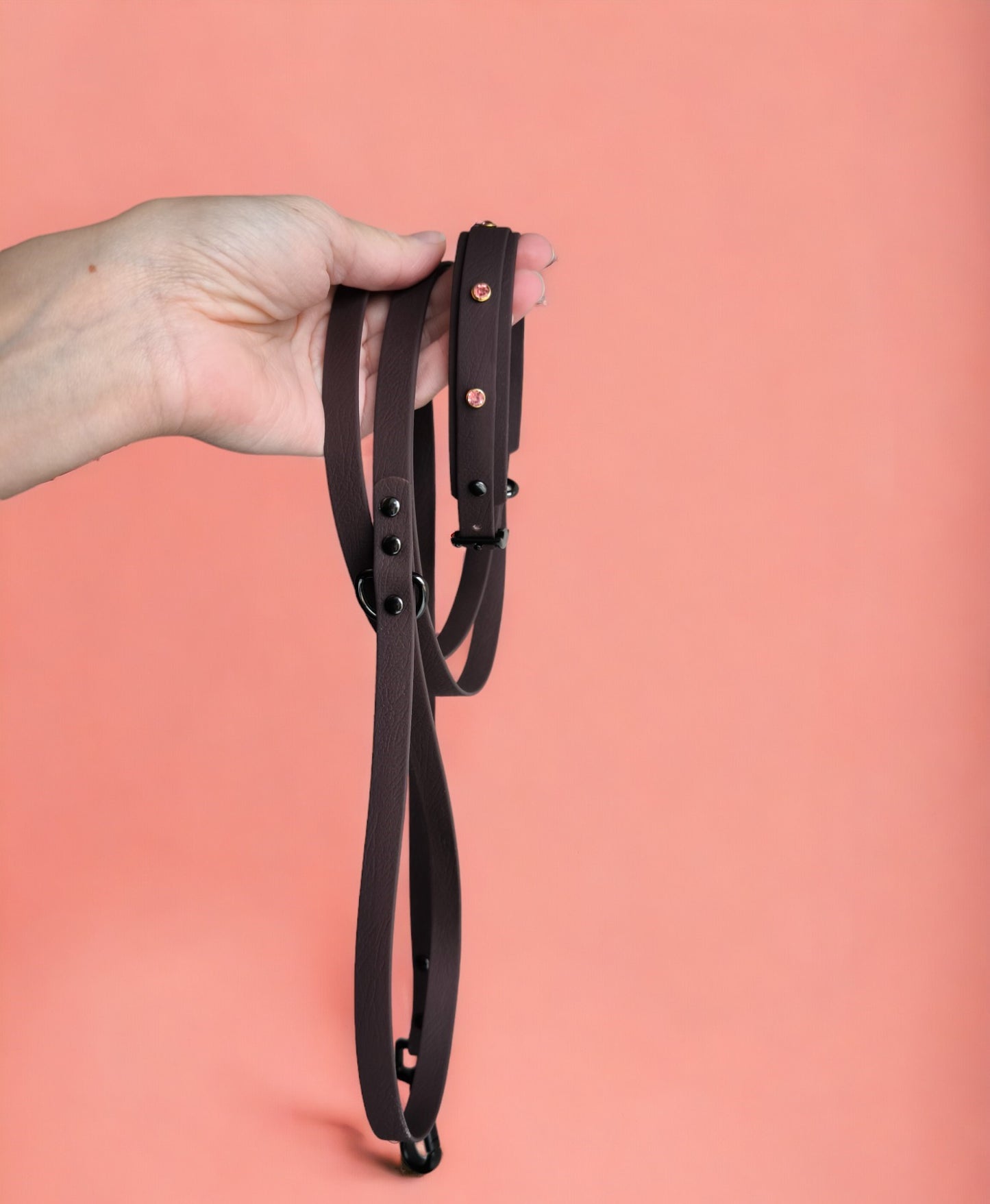 SET Mini Dog collar Biothane and leash