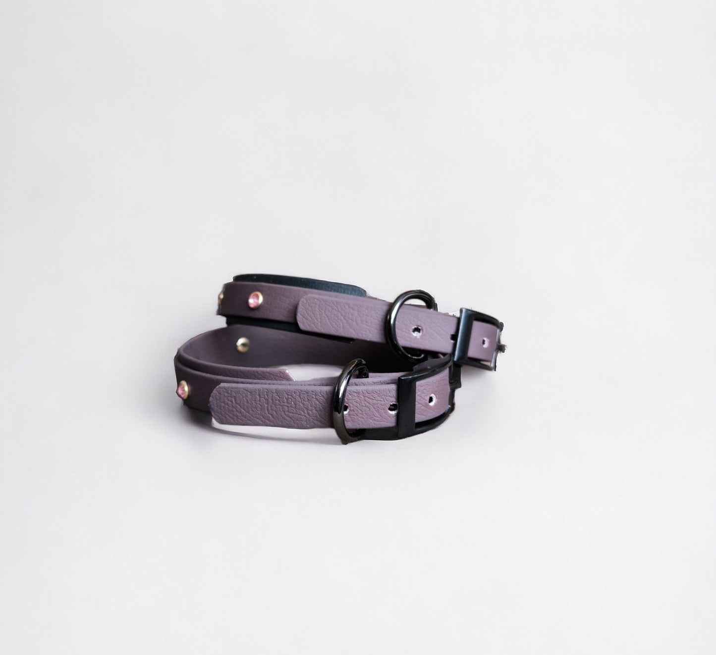 SET Mini Dog collar Biothane and leash