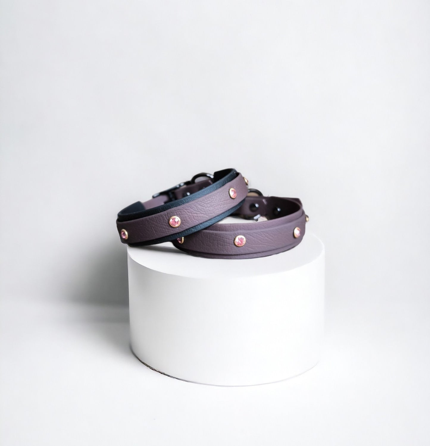 Mini Dog collar Biothane