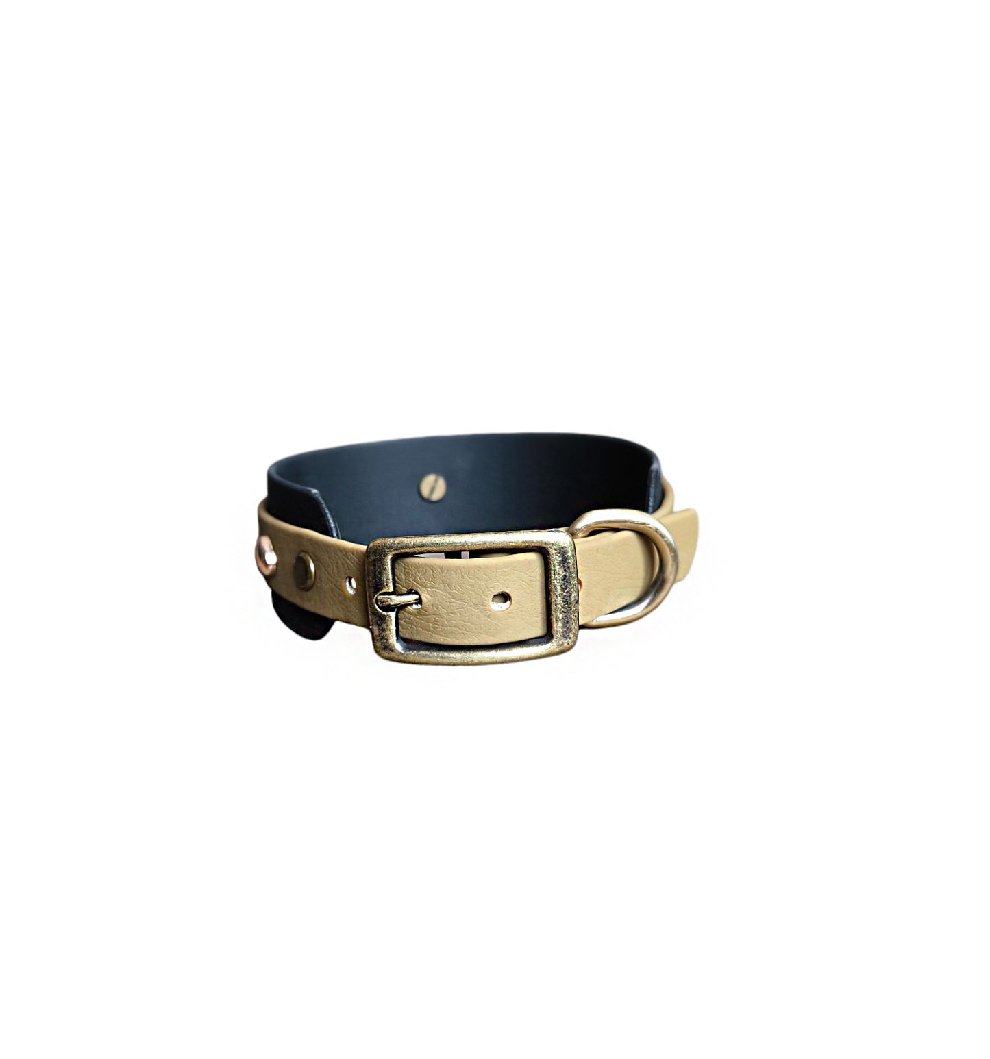 Biothane 38 mm wide