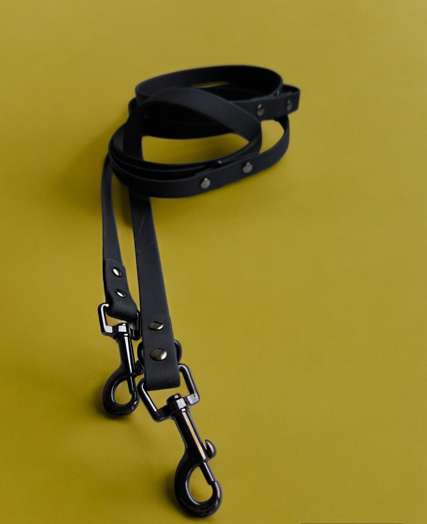 Biothane Waterproof Hands Free Leash 3m