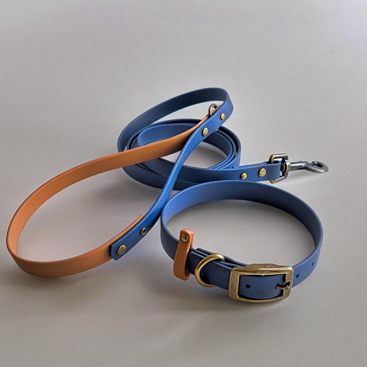 Biothane Waterproof Collar and Leash