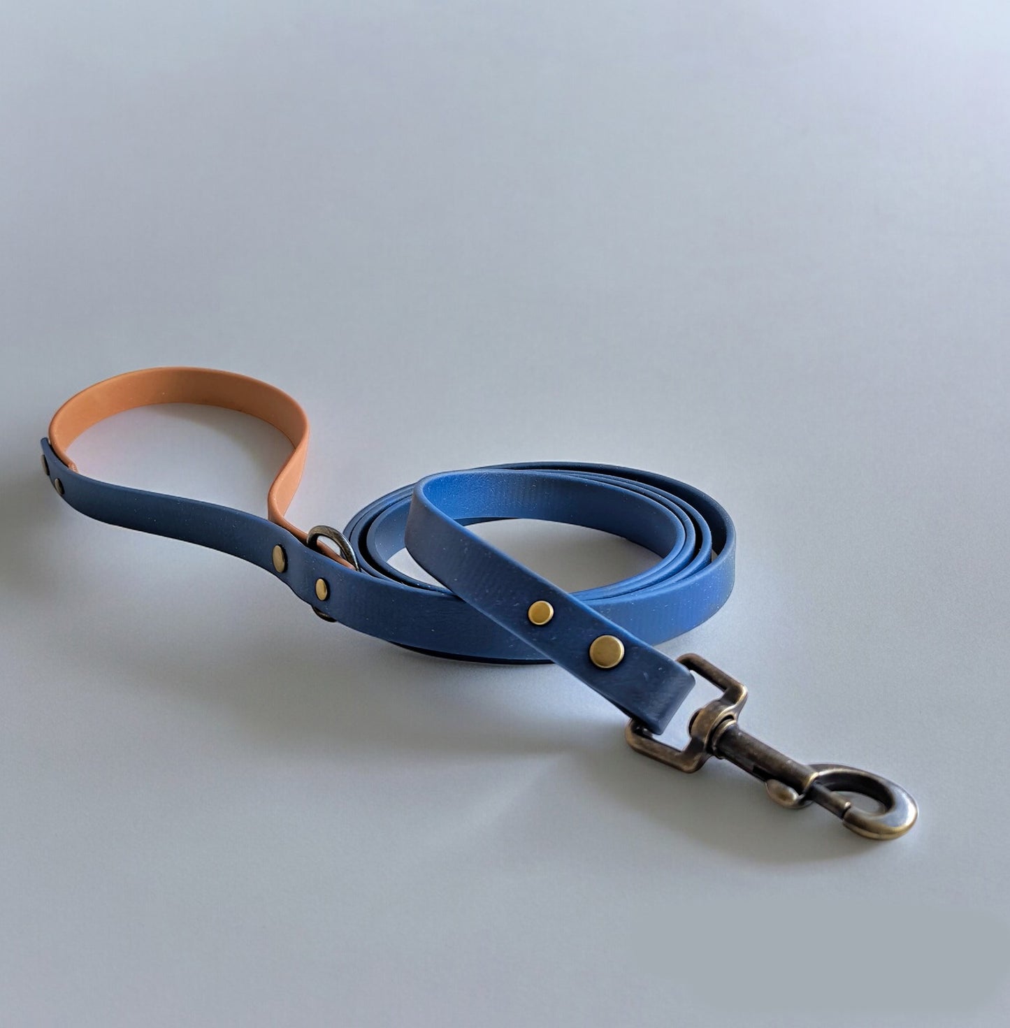 Biothane Waterproof Leash 1.6m