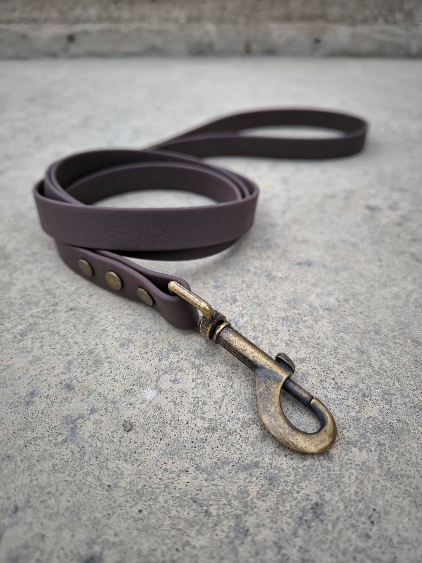 Biothane Waterproof Leash 1.6m Dark Brown