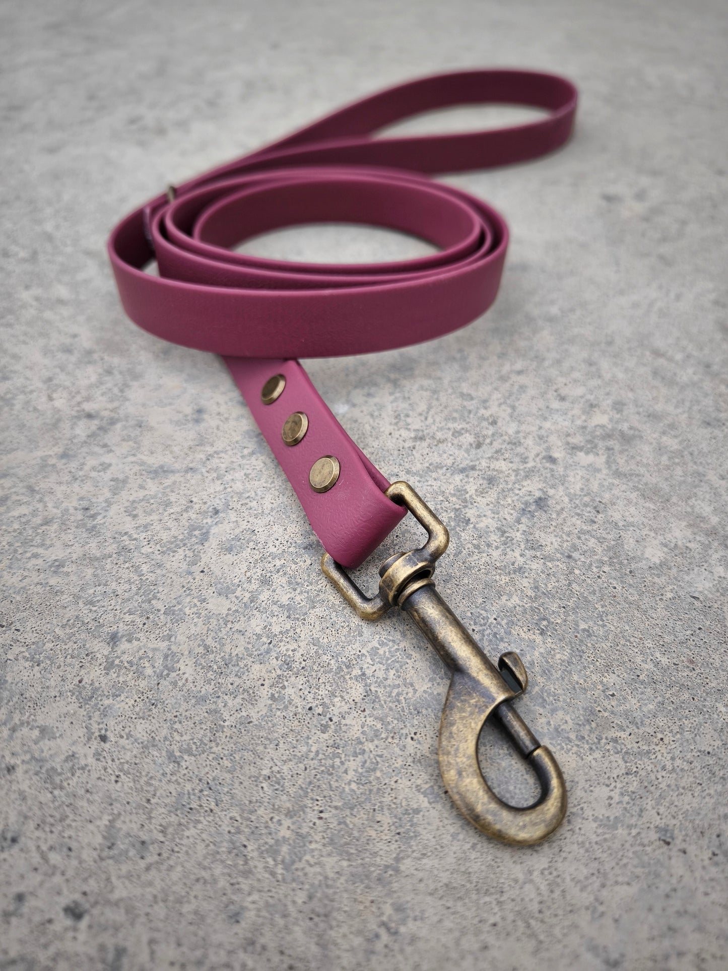 Biothane Waterproof Leash 1.6m Wine