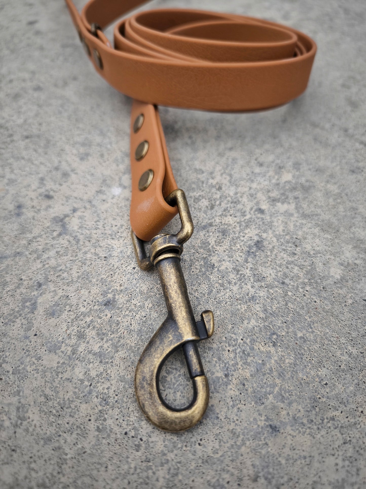 Biothane Waterproof Leash 1.6m Sand
