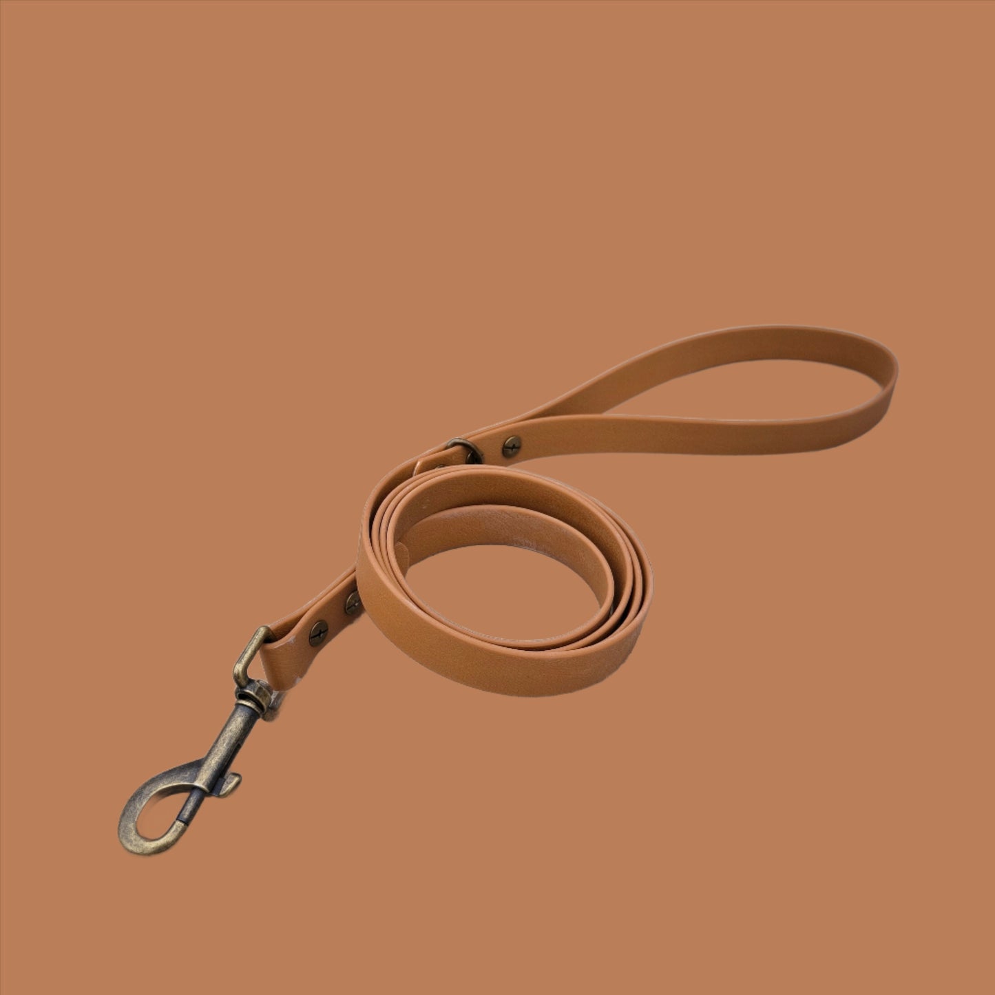 Biothane Waterproof Leash 1.6m Sand
