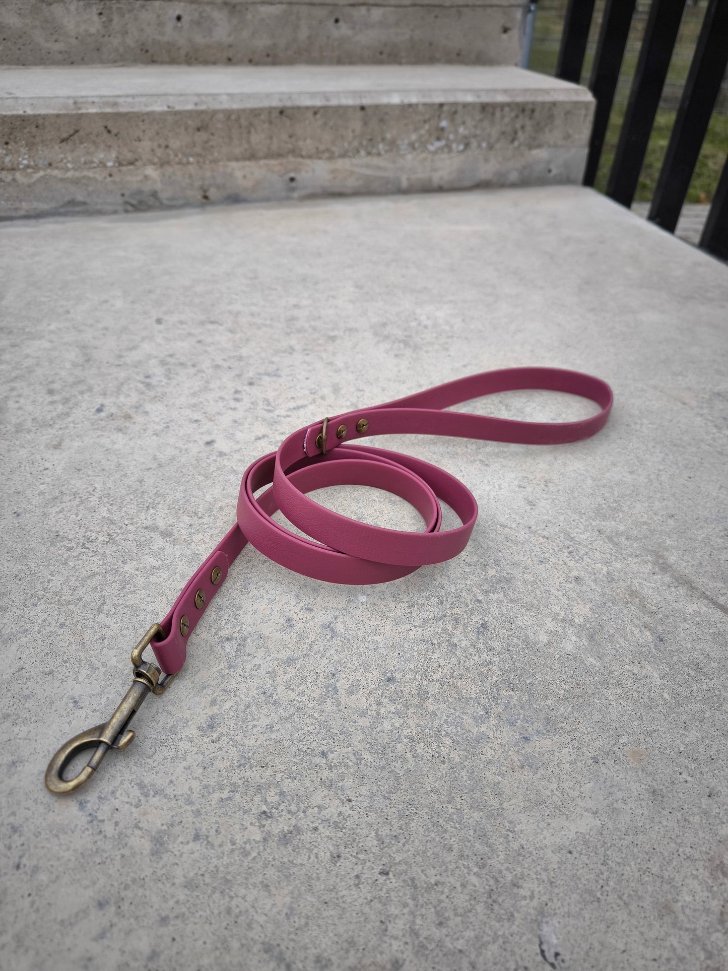 Biothane Waterproof Leash 1.6m Wine