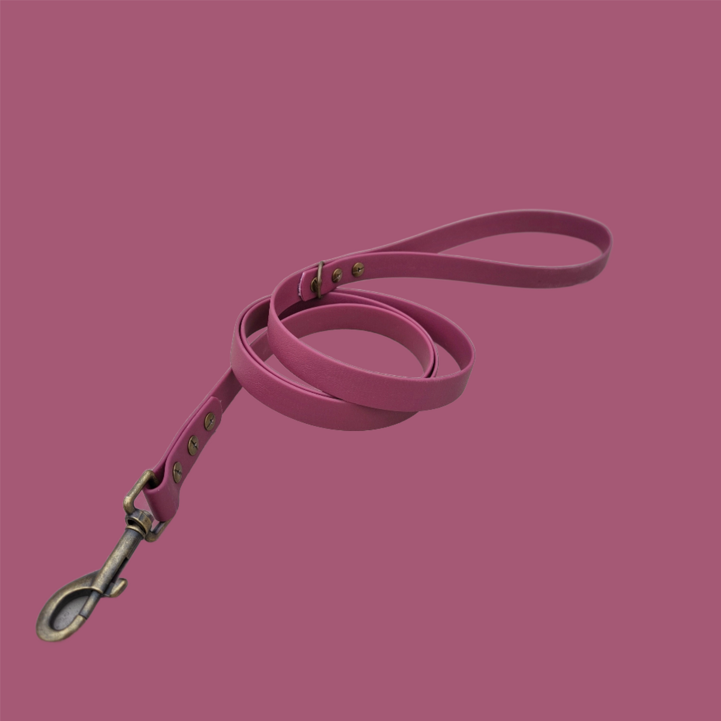 Biothane Waterproof Leash 1.6m Wine