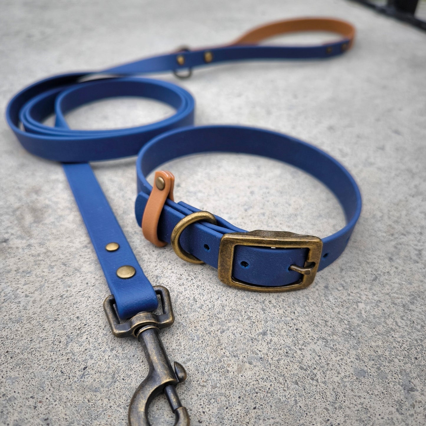 Biothane Waterproof Collar and Leash