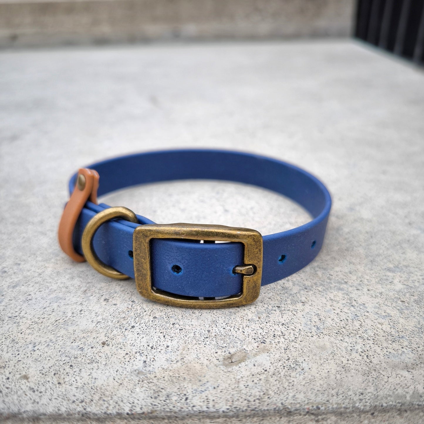 Biothane Waterproof Collar Navy Blue