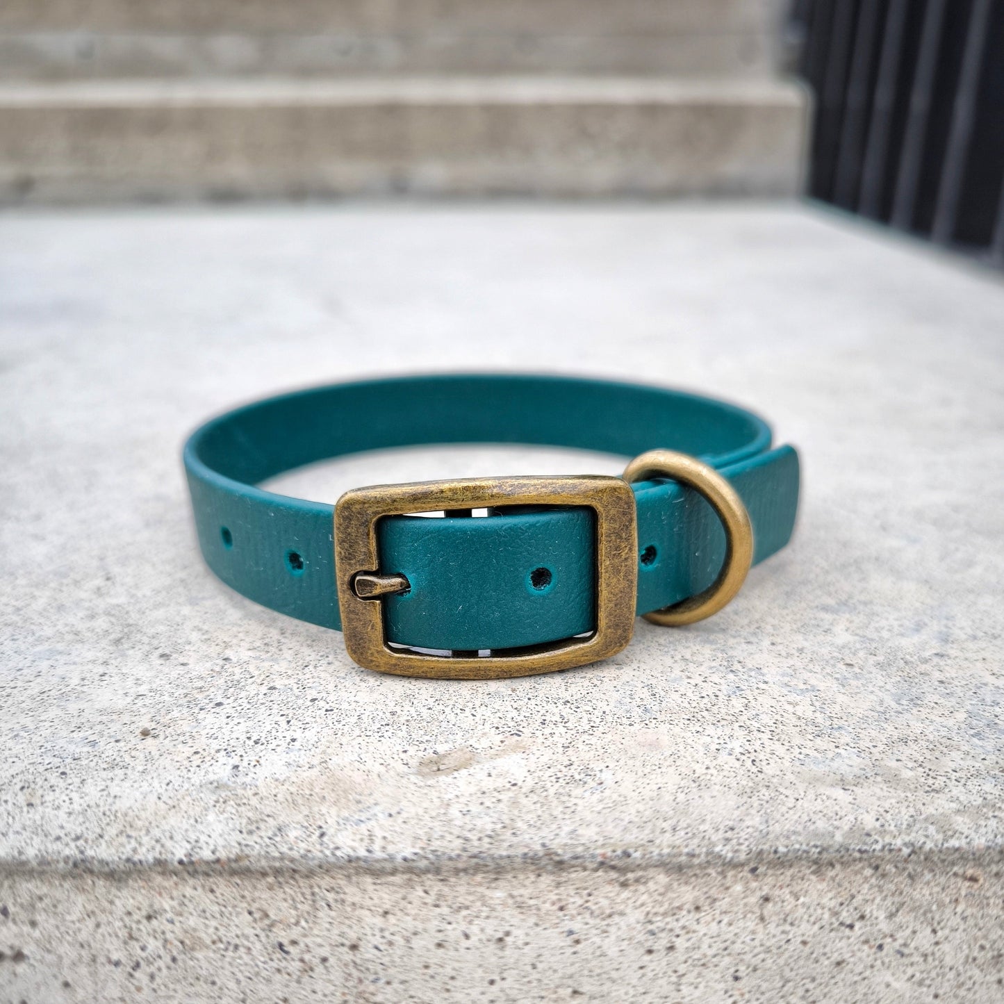 Biothane 20 mm wide Emerald green