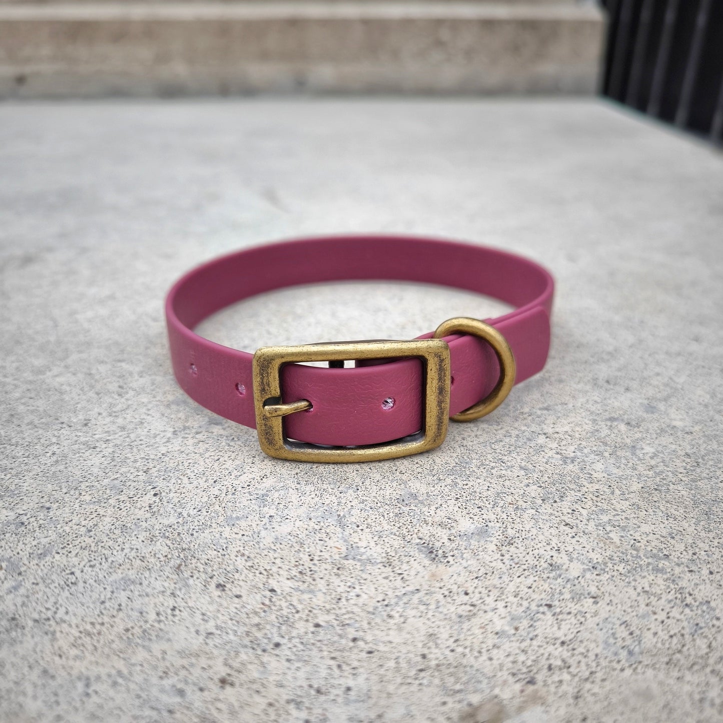 Biothane 20 mm wide Wine