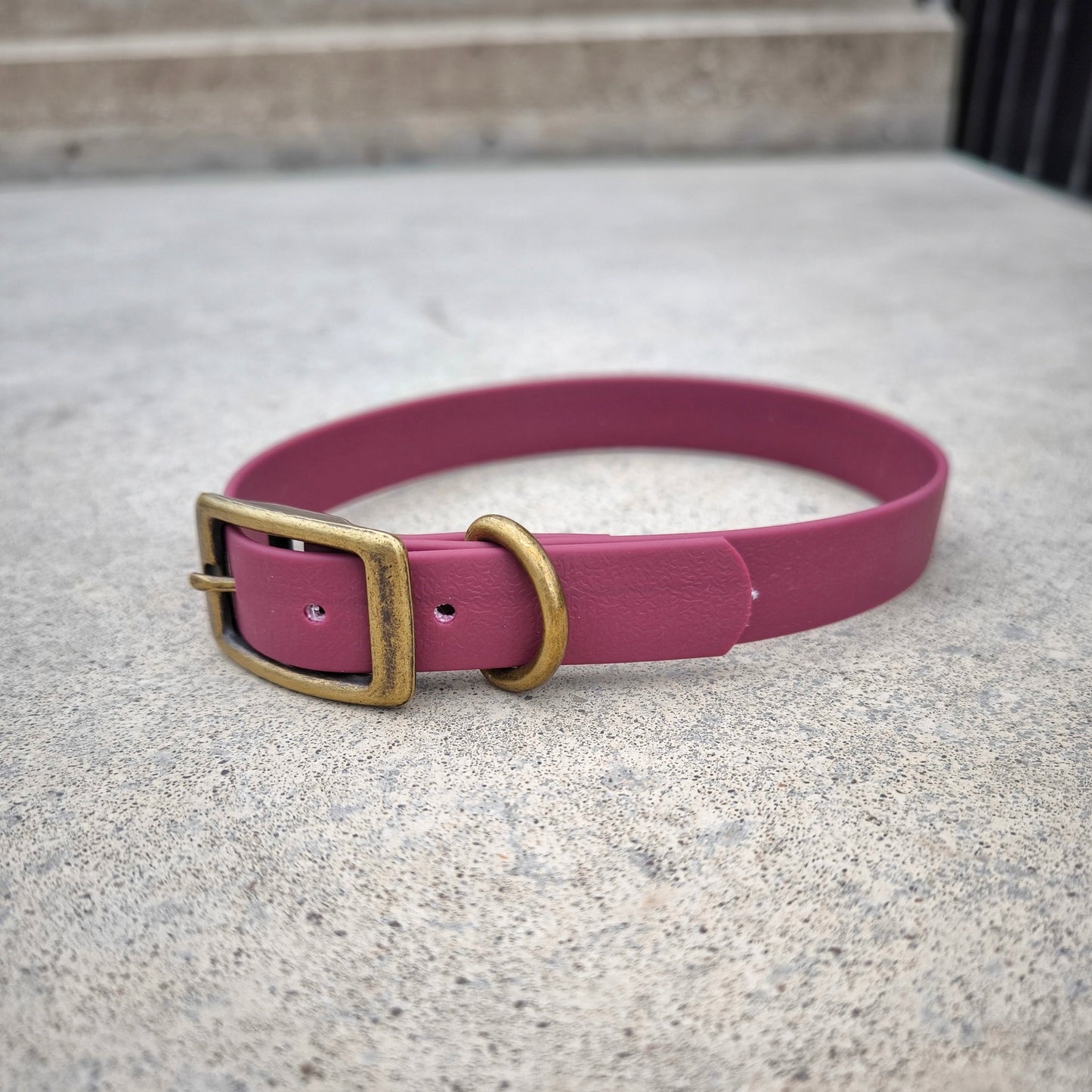 Biothane 20 mm wide Wine