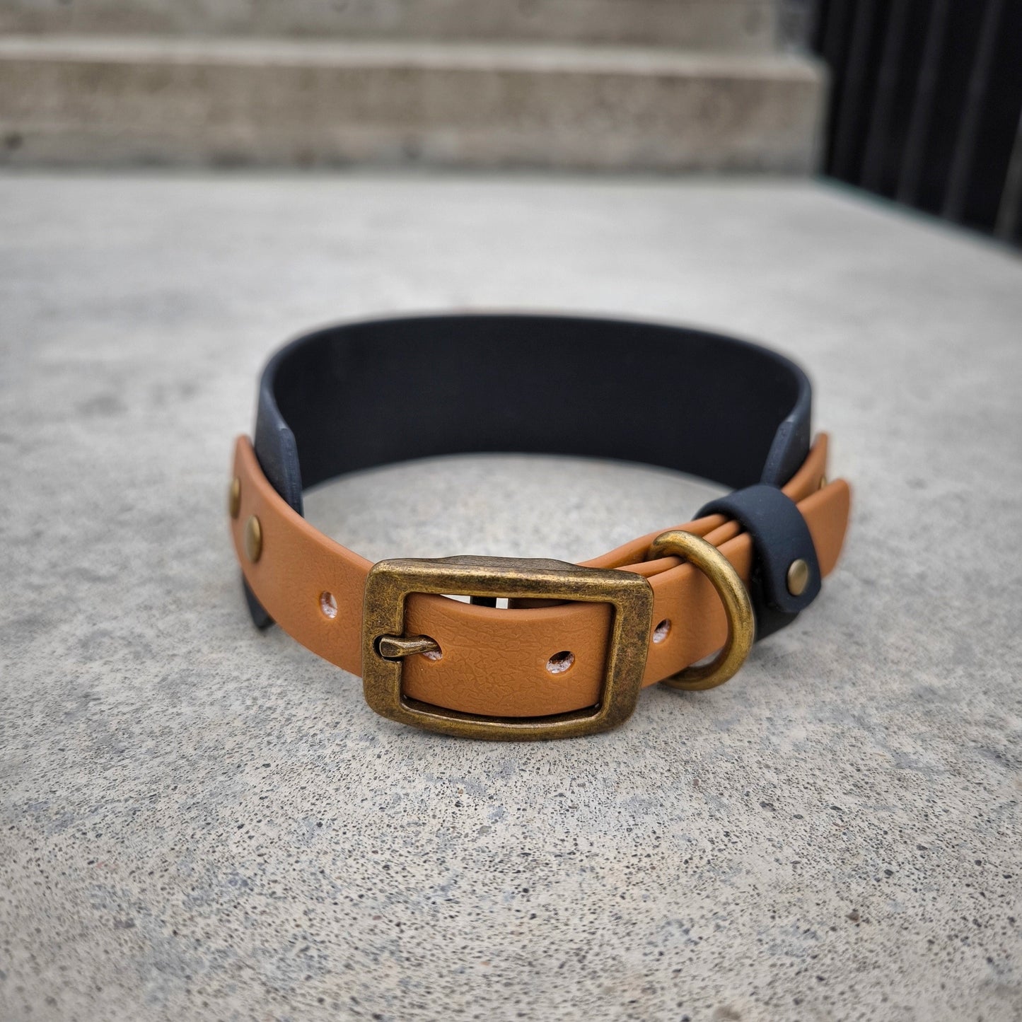 Biothane 38 mm wide Black+Sand