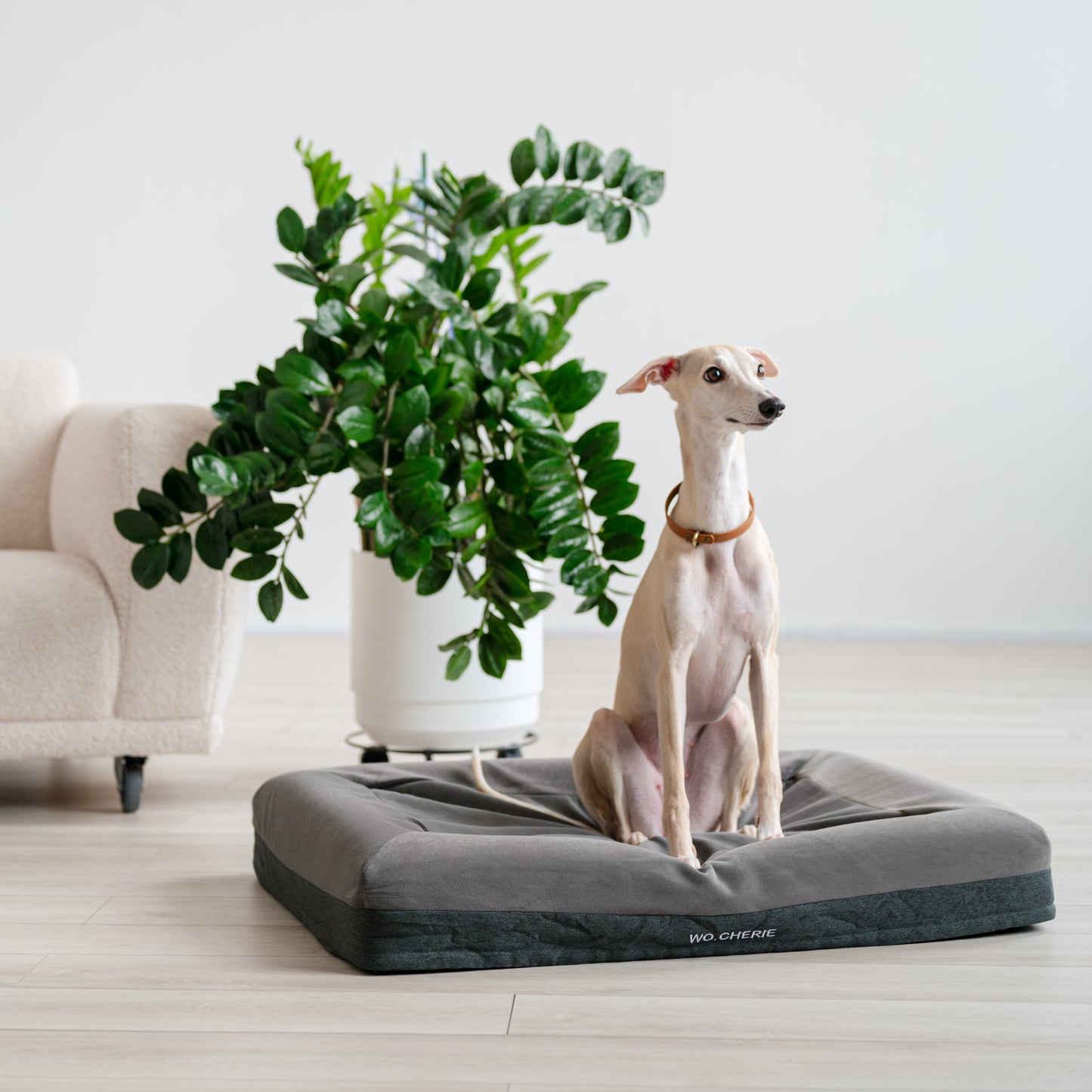 Easy clean One-piece Memory foam dog bed