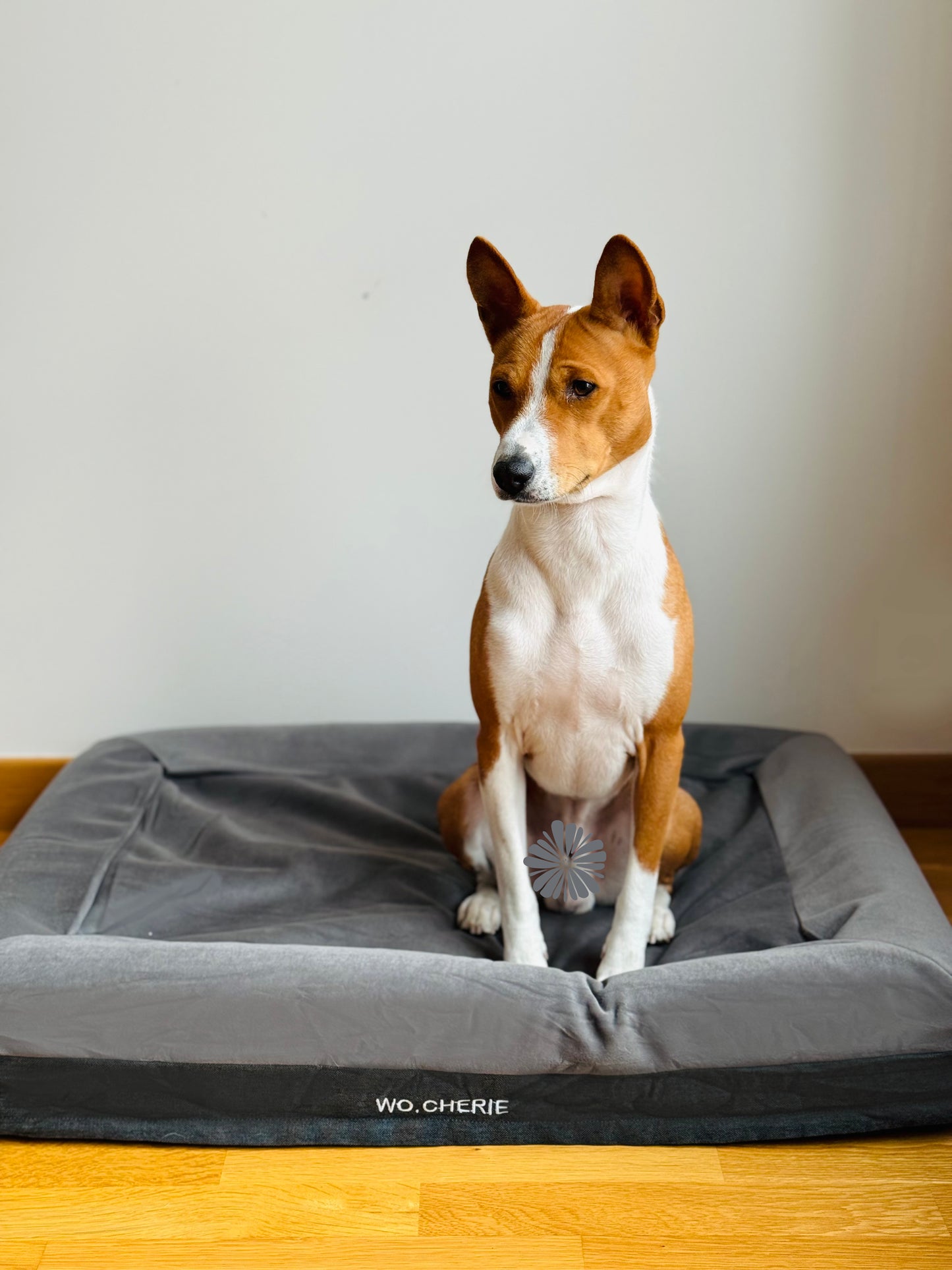Easy clean One-piece Memory foam dog bed