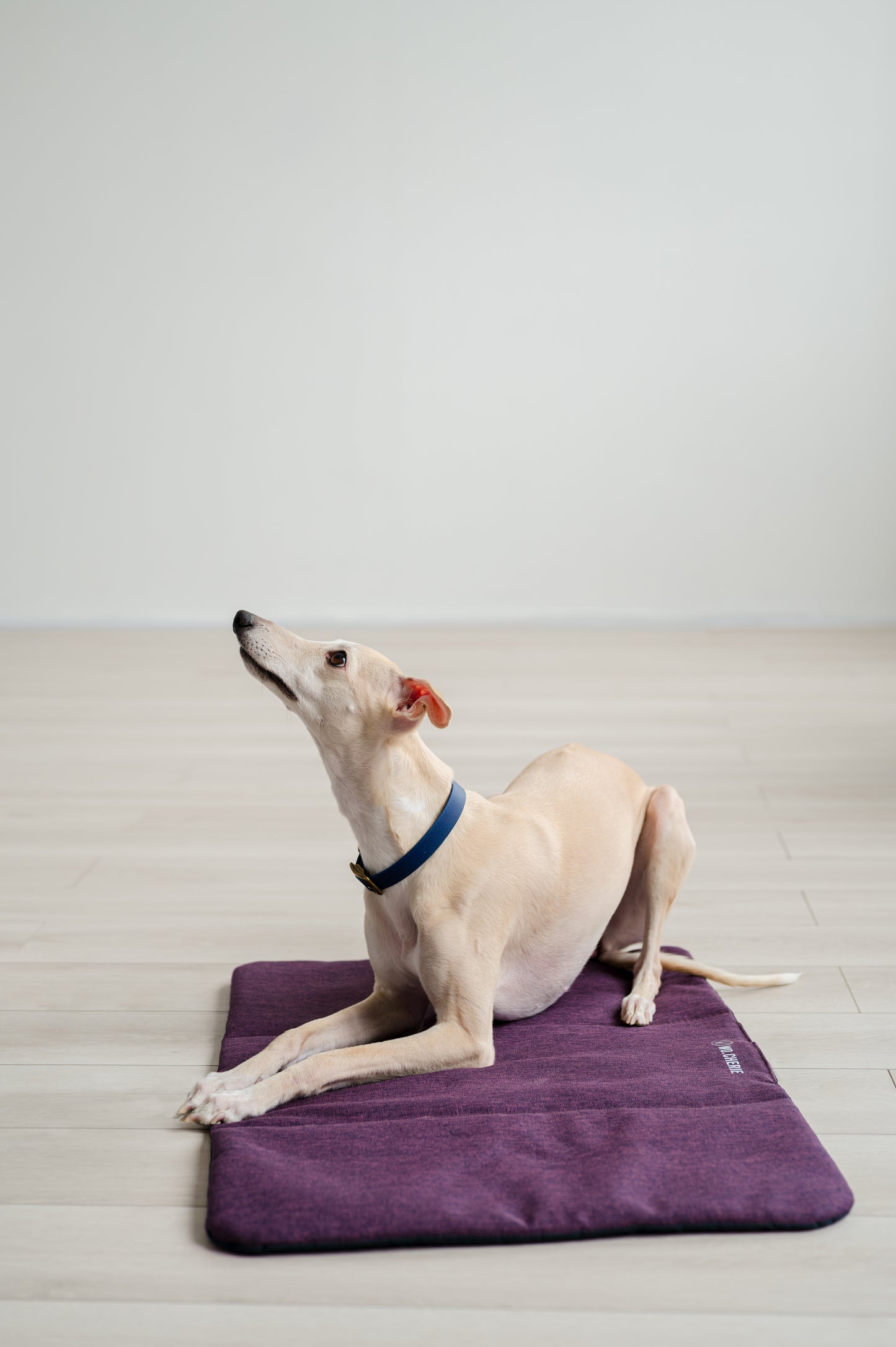 Travel-Settle Mat