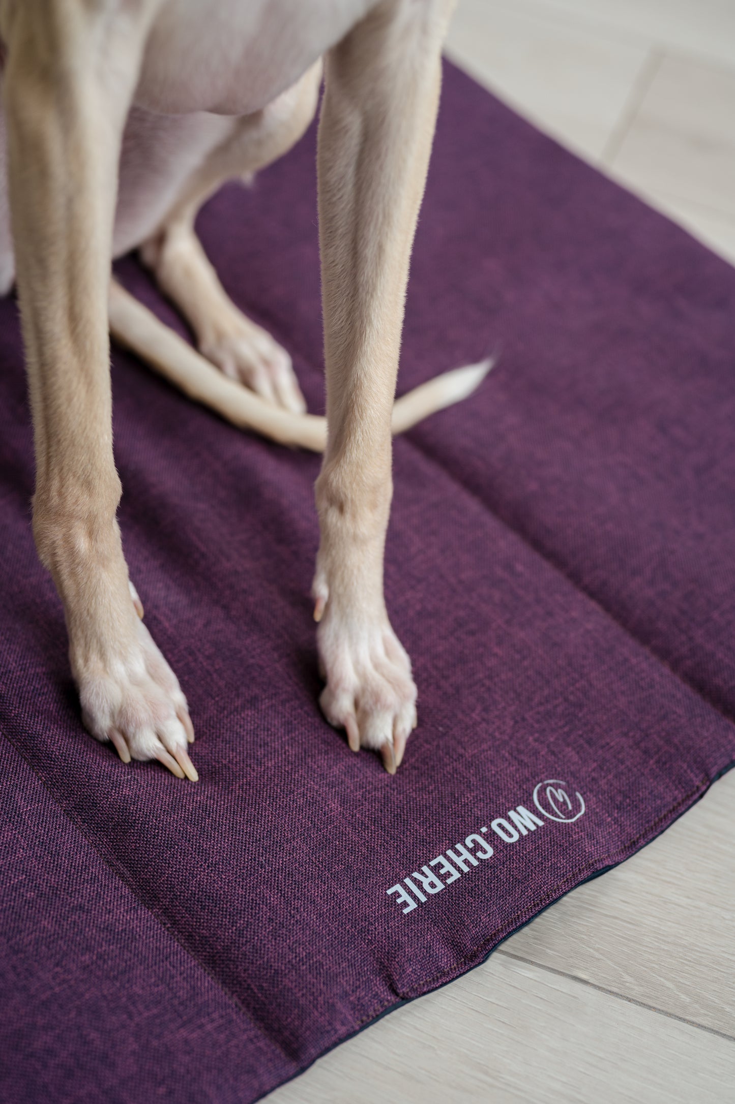 Travel-Settle Mat
