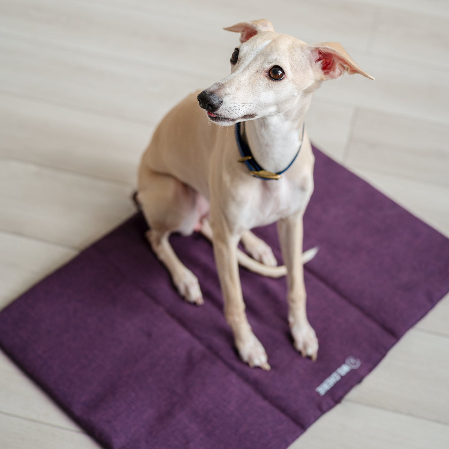 Travel-Settle Mat