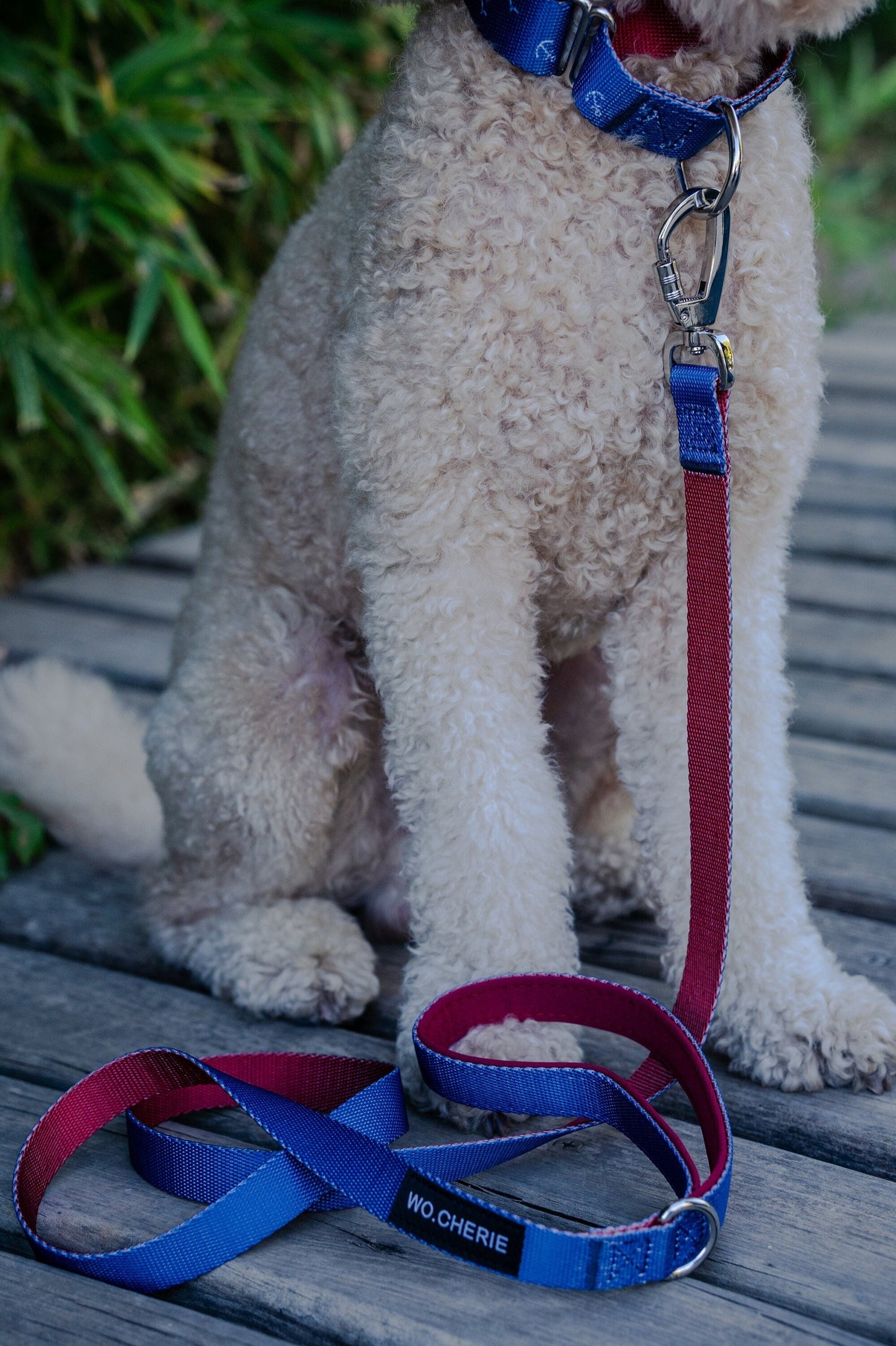 Blue red anchors dog leash with padded handle, 140cm dog lead