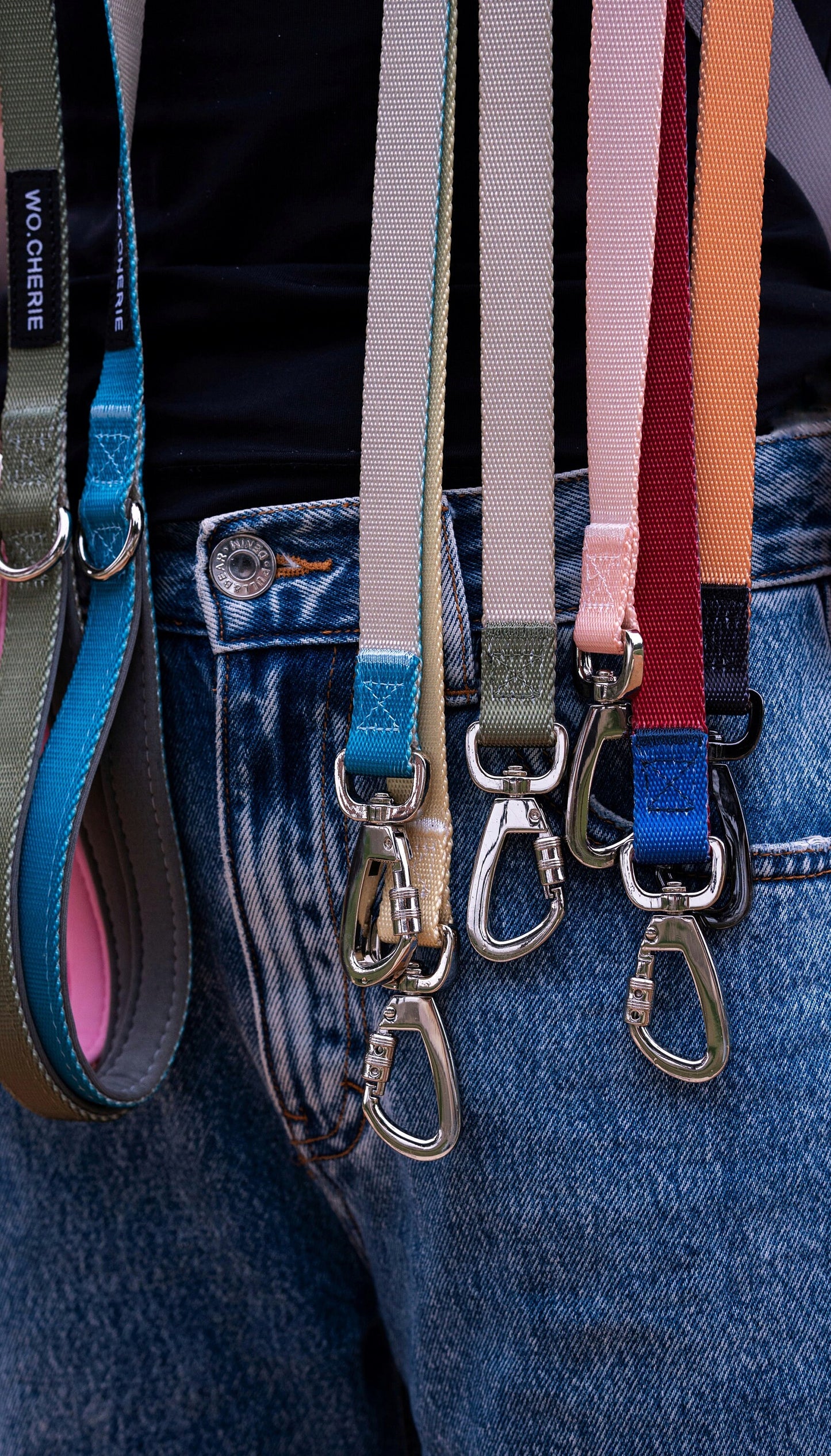Two-tone gradient dog leash with padded handle, 140cm dog lead