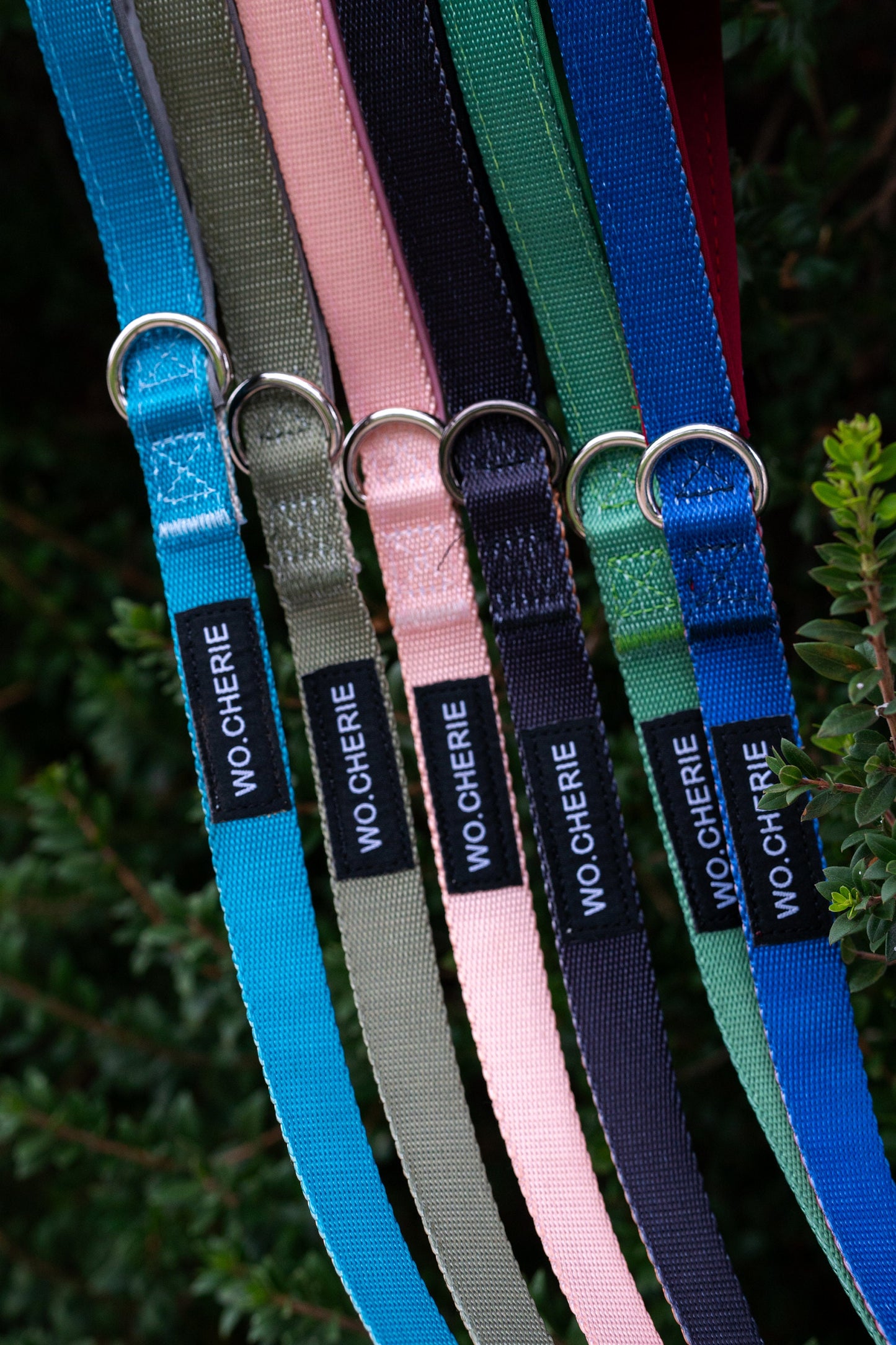 Two-tone gradient dog leash with padded handle, 140cm dog lead