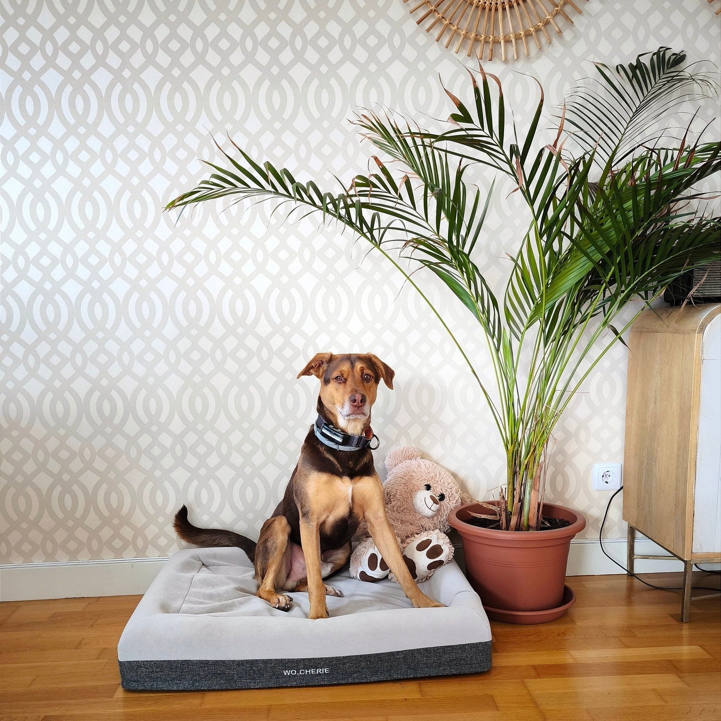 Easy clean One-piece Memory foam dog bed