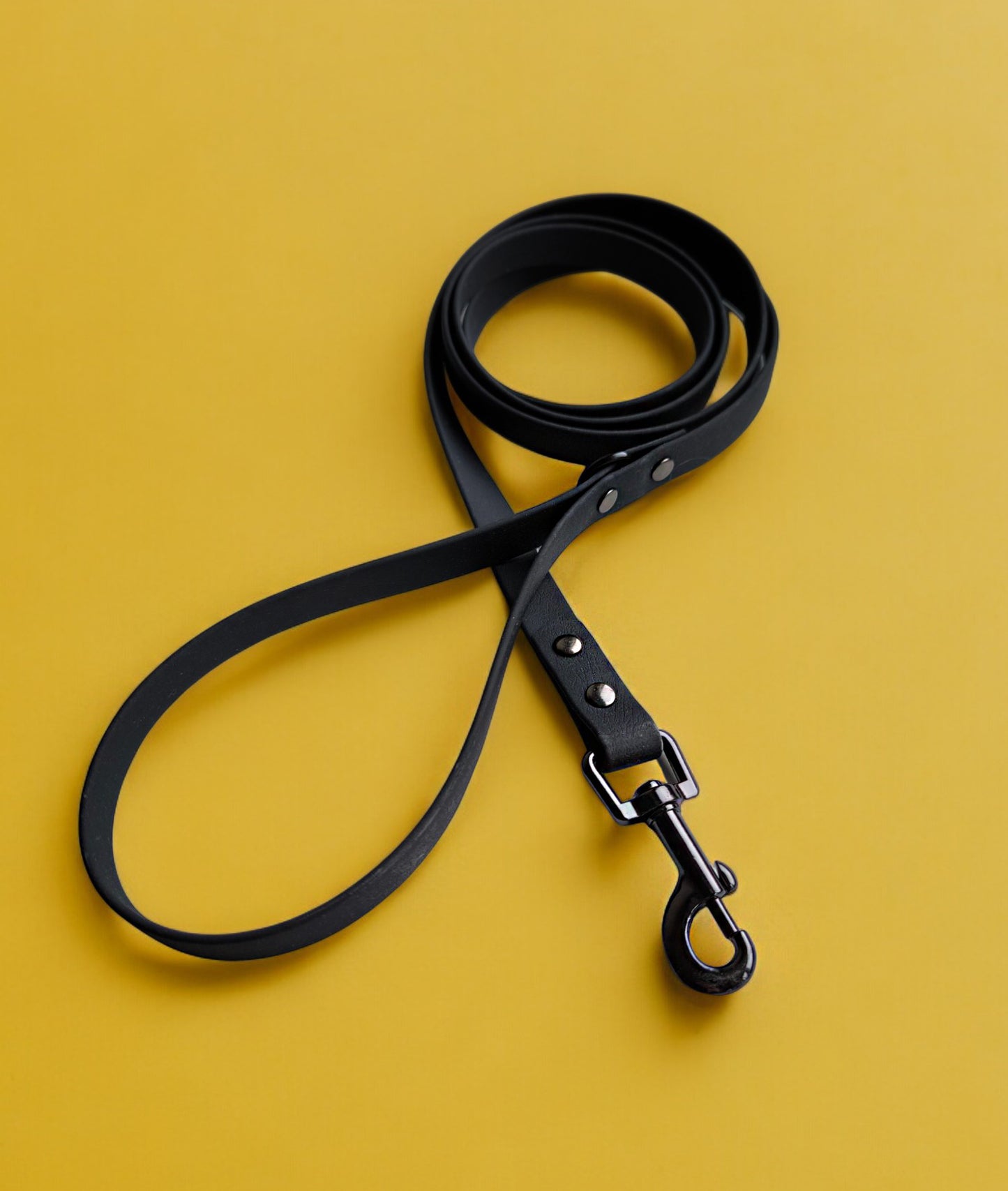 Biothane Waterproof Leash 1.6m