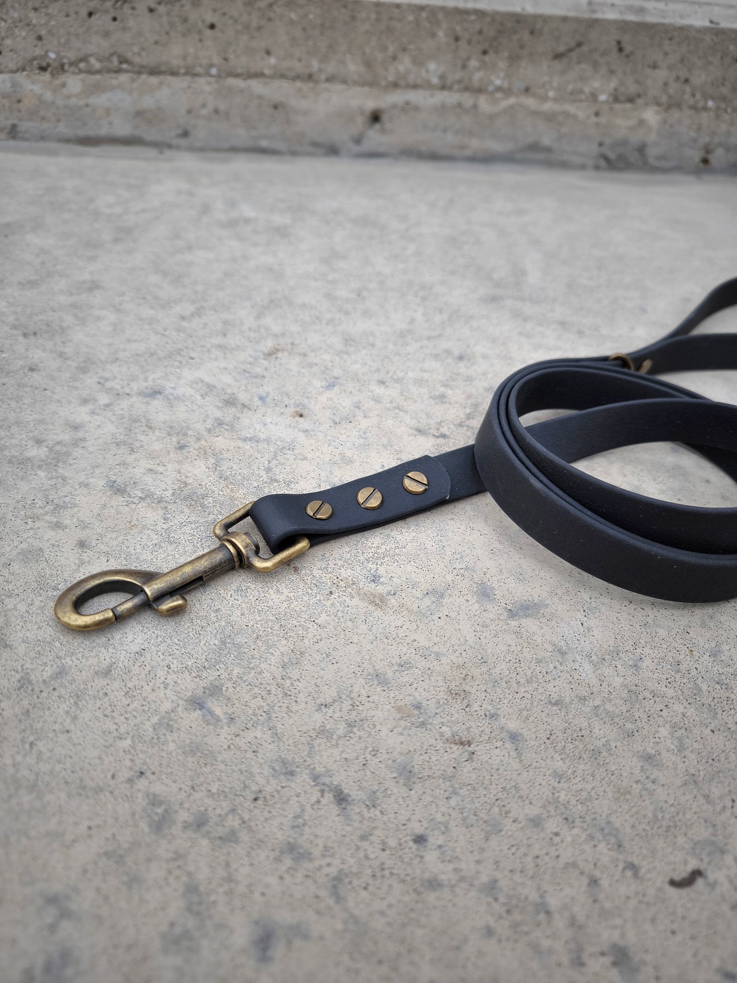 Biothane Waterproof Leash 1.6m