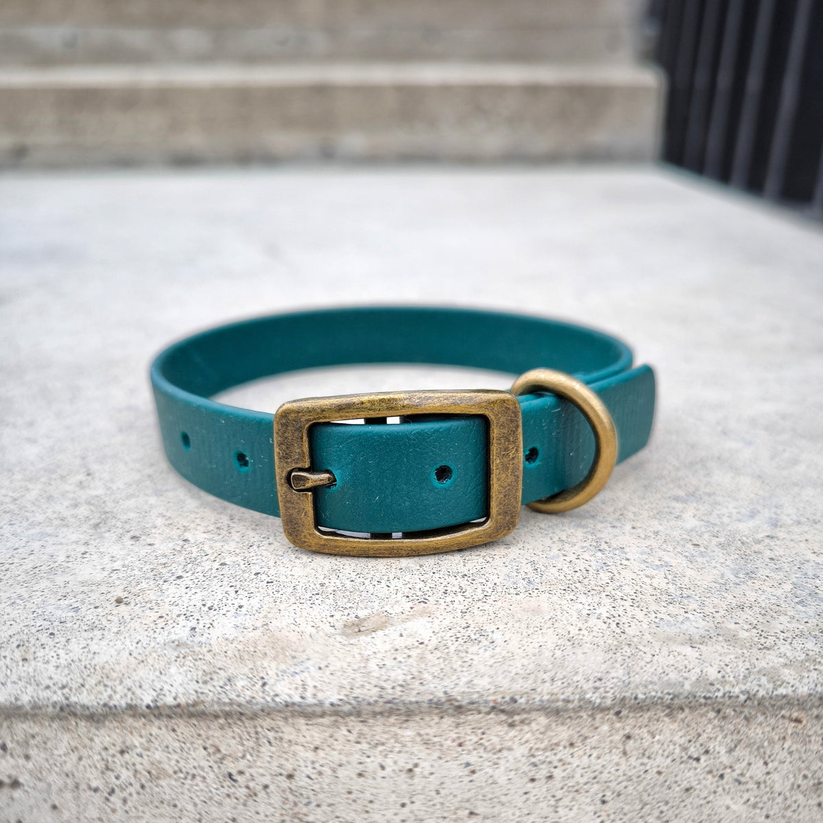 Biothane 20 mm wide Emerald green – Wo.Cherie