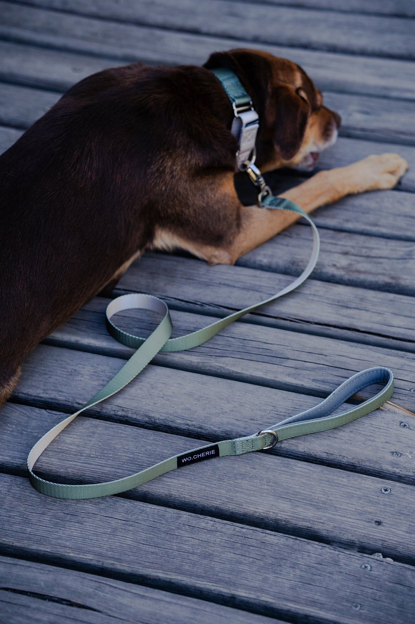 Olive green grey dog leash with padded handle, 140cm dog lead