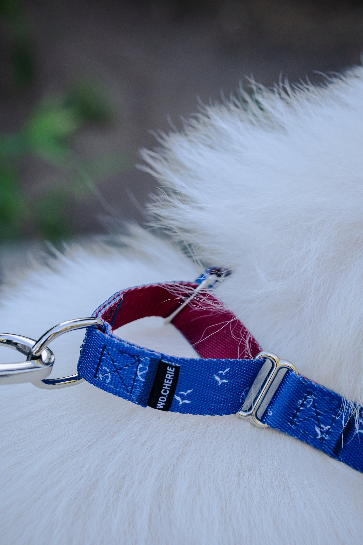 Blue red anchors martingale dog collar and leash walking set, 25mm Wide Martingale Collar and Leash Set for Dogs