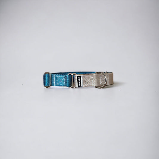 Blue-Grey Martingale Dog Collar, 25mm Wide, Optional Leash