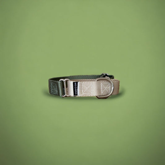 Olive green martingale dog collar, 25mm wide, leash optional