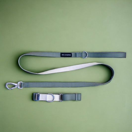 Olive green grey martingale dog collar and leash walking set, 25mm Wide Martingale Collar and Leash Set for Dogs