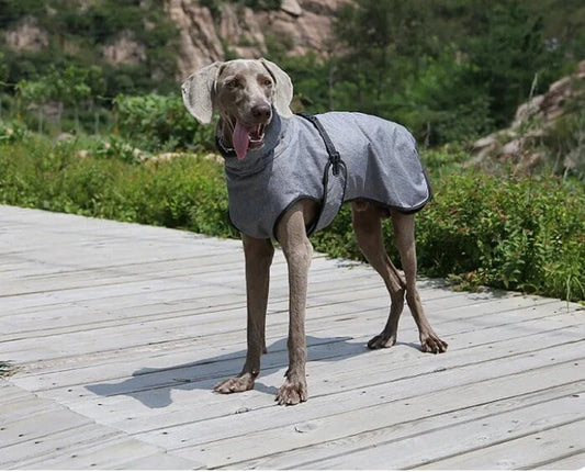 Dog Winter Autumn Jacket, Water and wind resistant